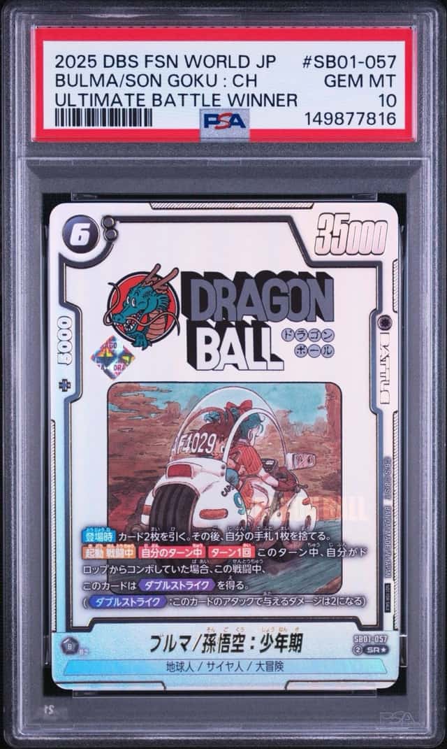 Bulma/Son Goku : Ch