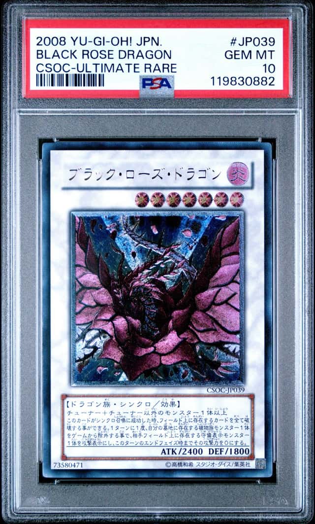 Black Rose Dragon