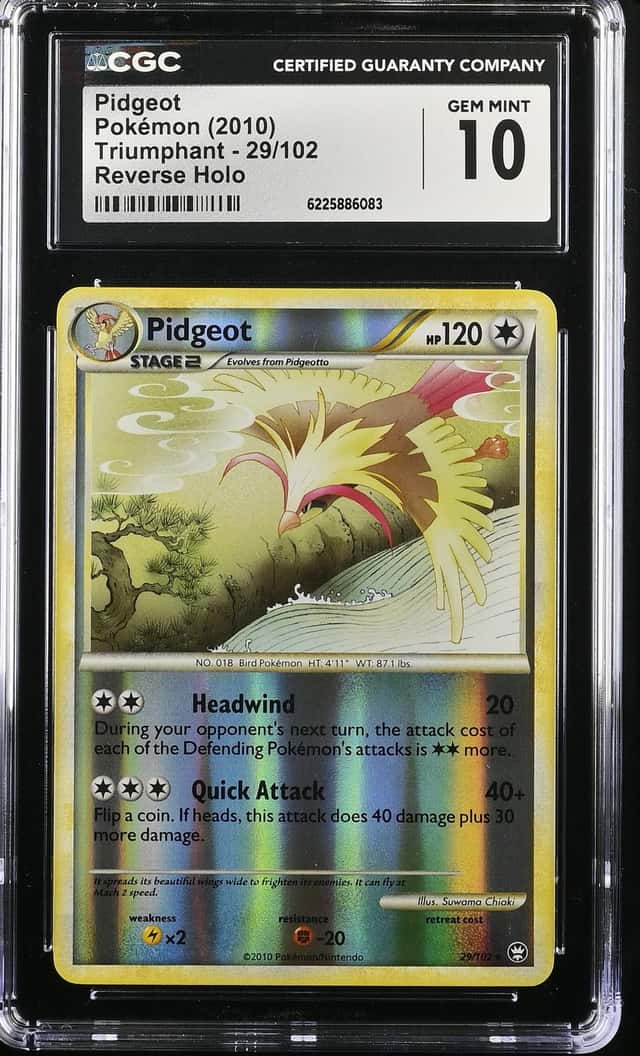 Pidgeot