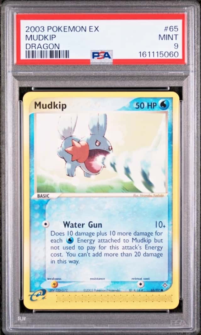Mudkip