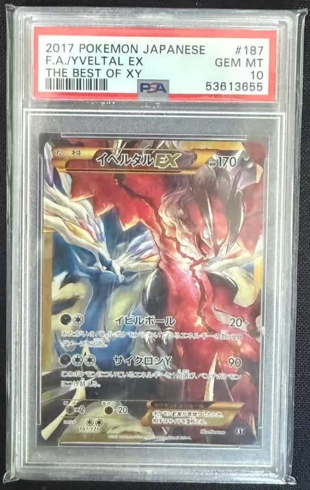 Yveltal EX