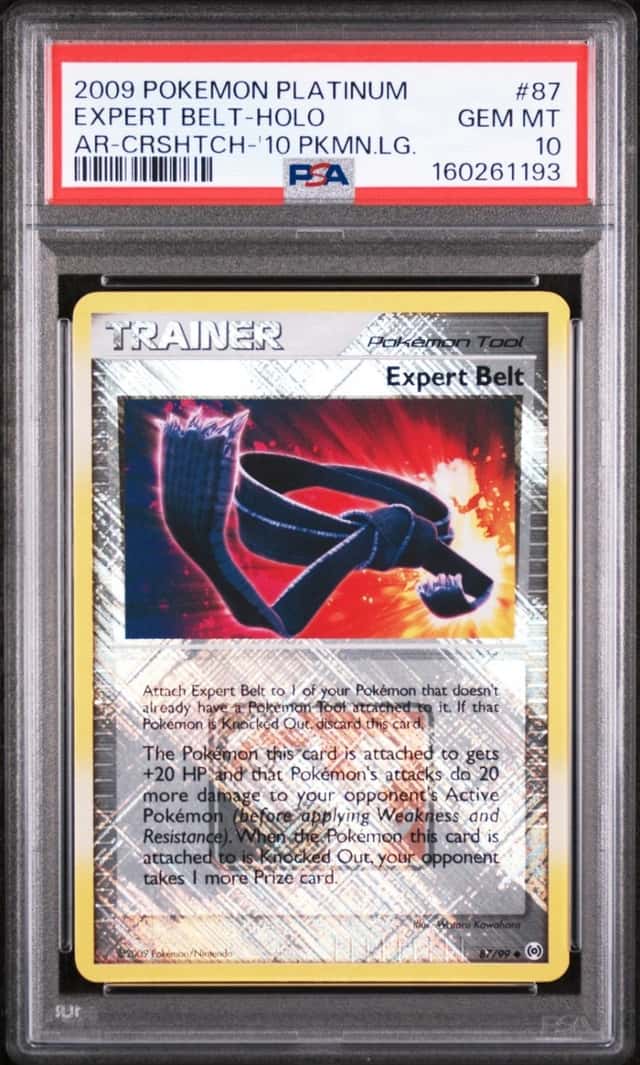 Expert Belt