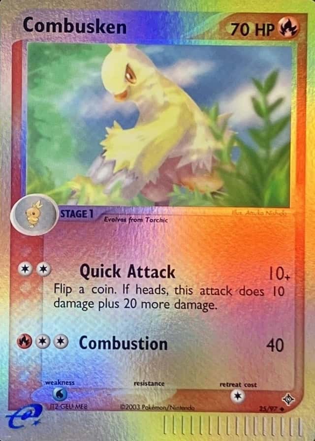 Reverse Holo