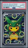 Poncho-Wearing Pikachu