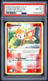 Chimchar