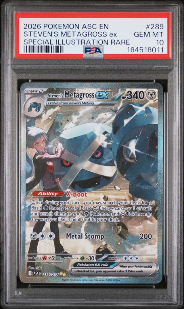 STEVEN'S METAGROSS ex