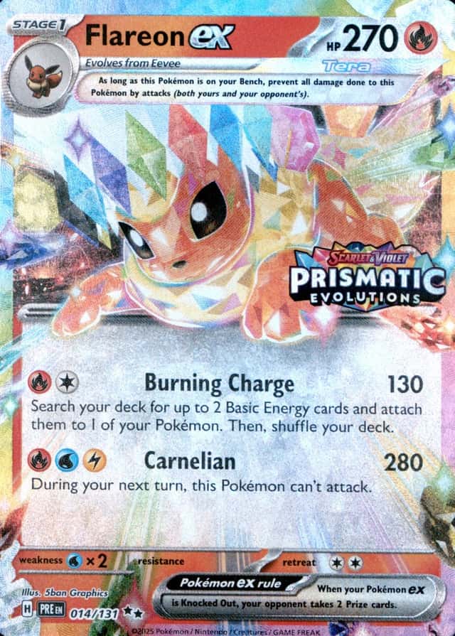 Holo · Box Exclusive Surprise