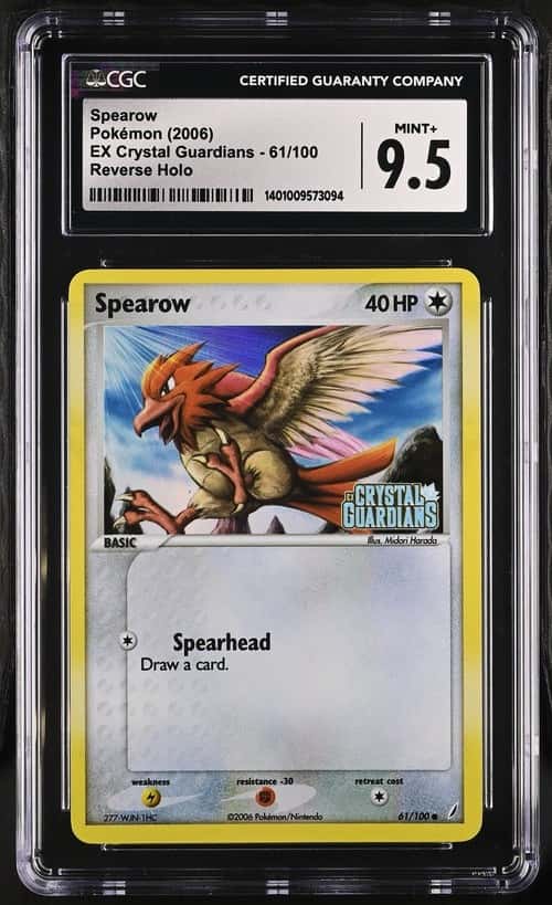 Spearow