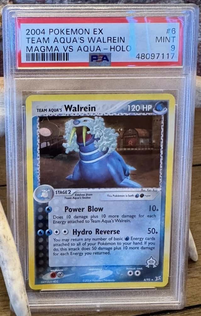 Aqua's Walrein