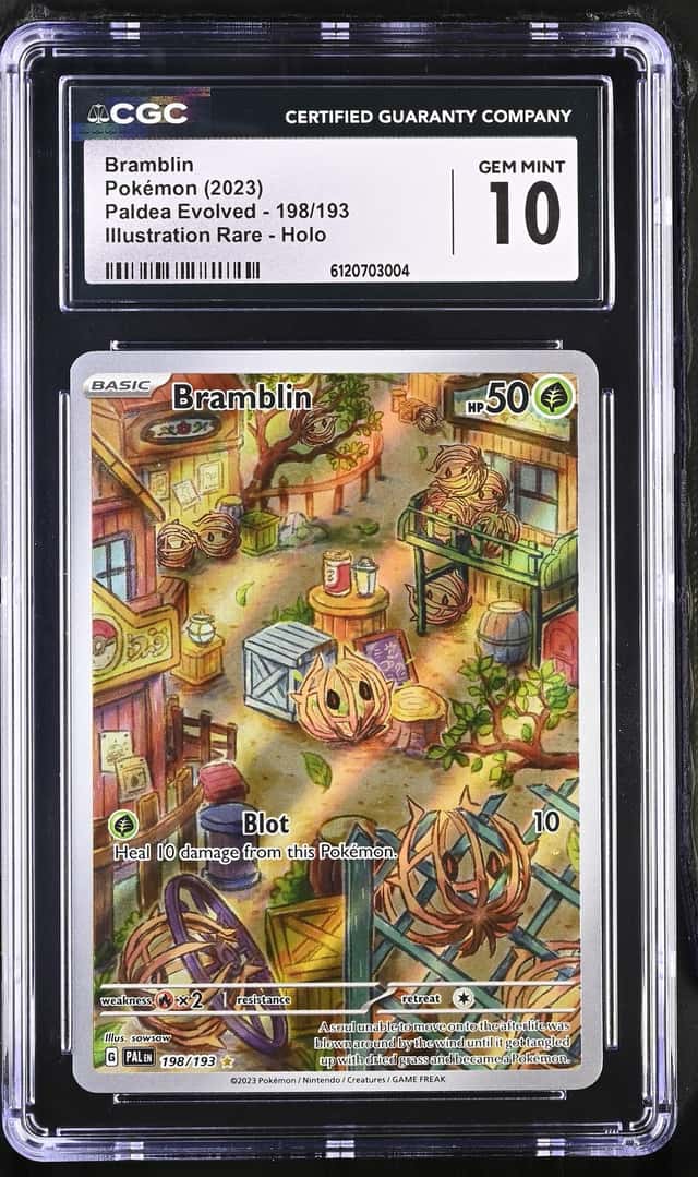 Bramblin