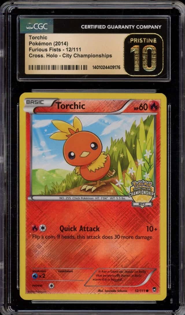 Torchic