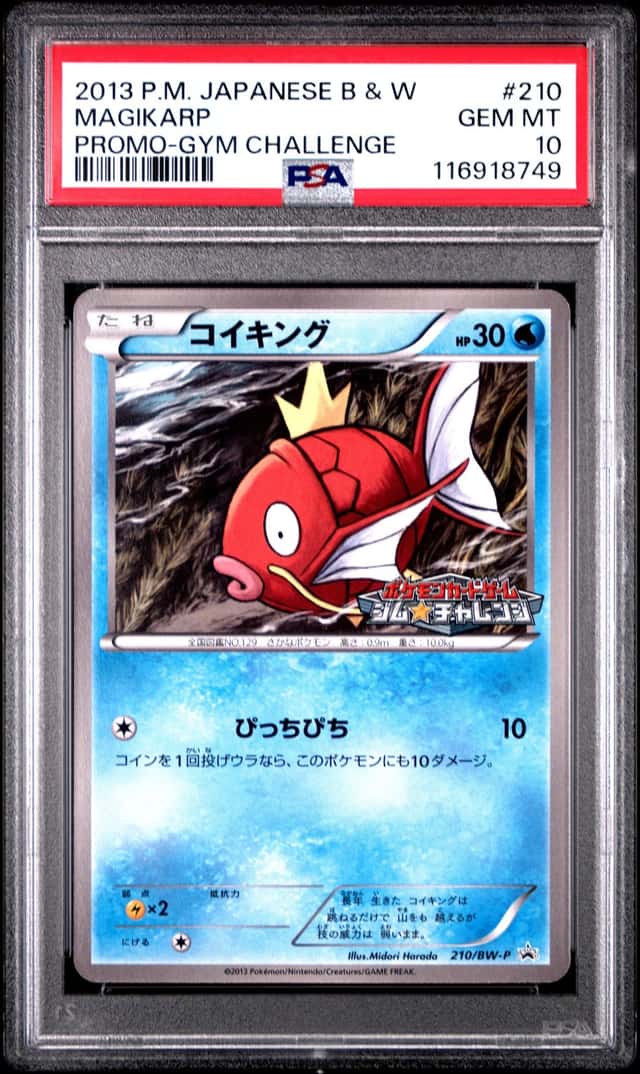 Magikarp