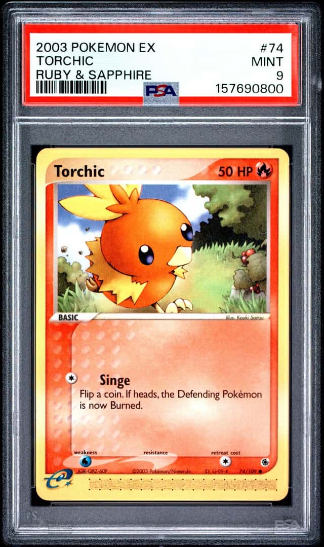 Torchic