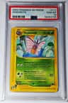 Venomoth