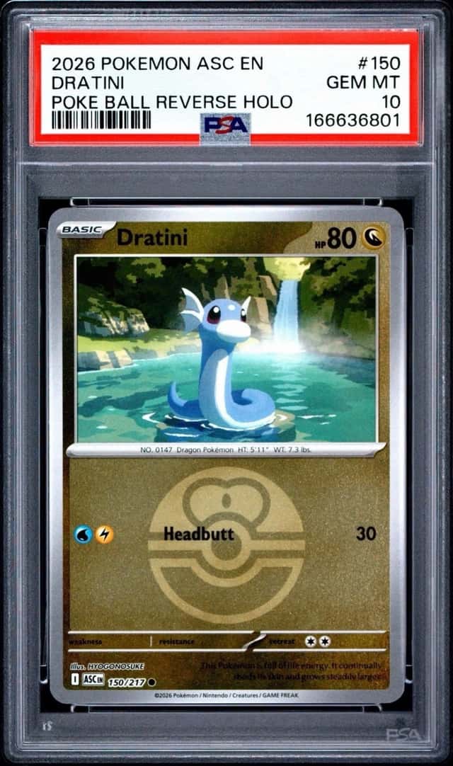 Dratini