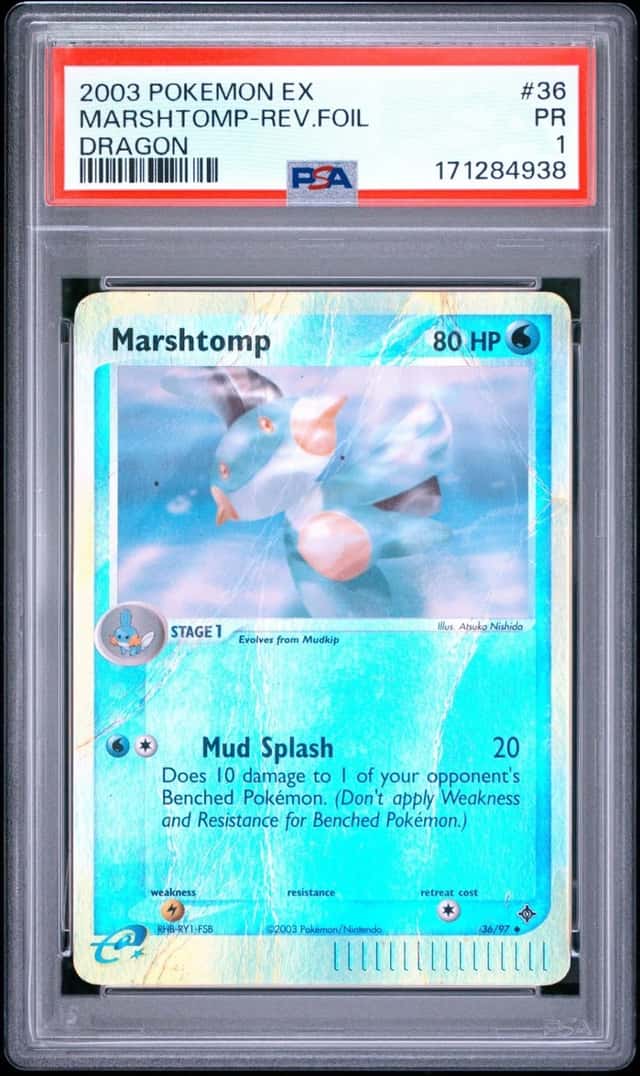 Marshtomp