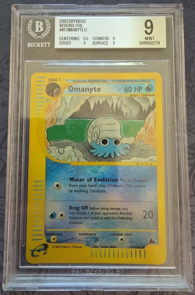 Omanyte