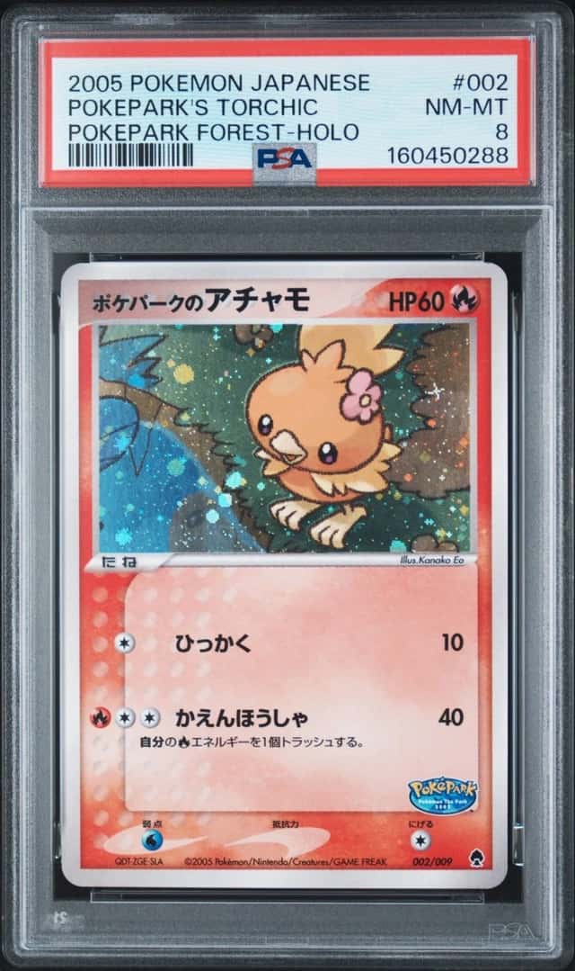 Pokepark's Torchic