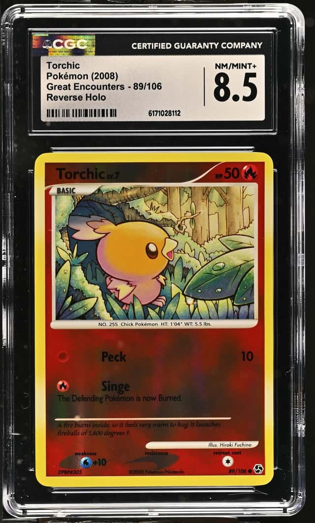 Torchic