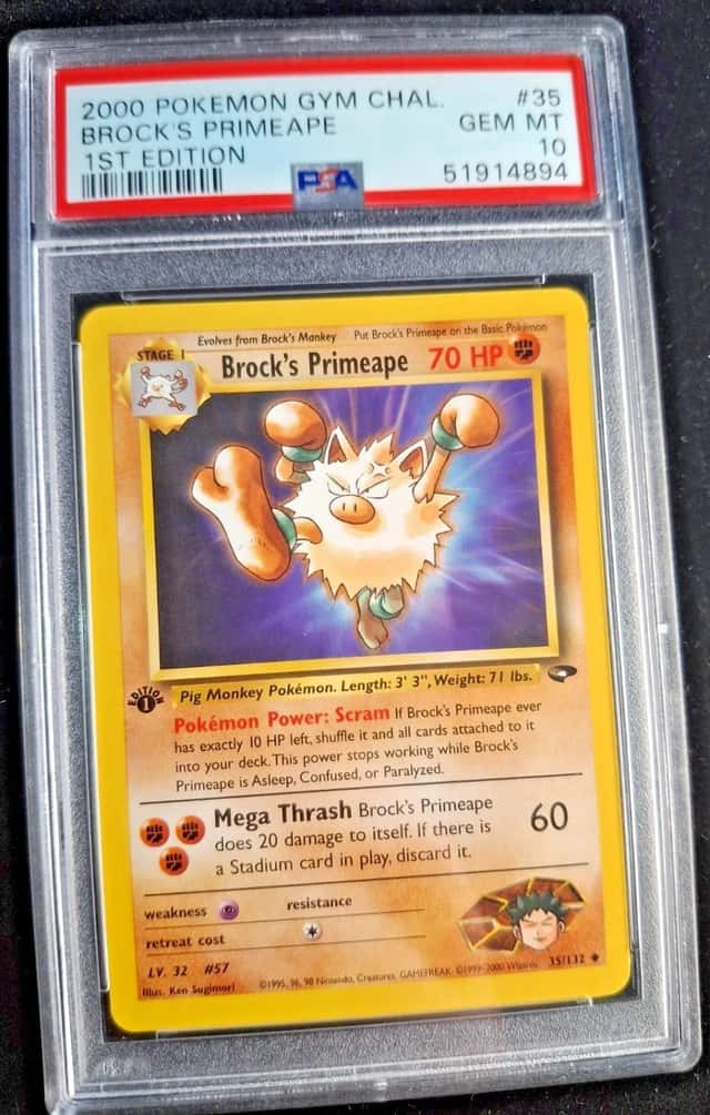 Brock's Primeape