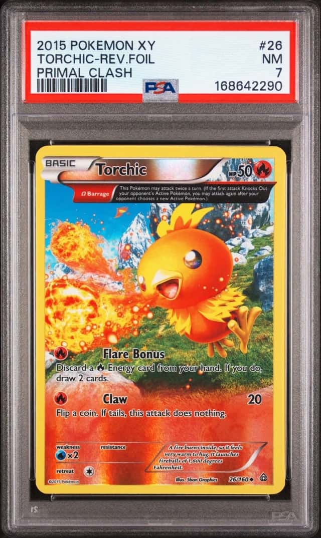Torchic