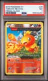 Torchic