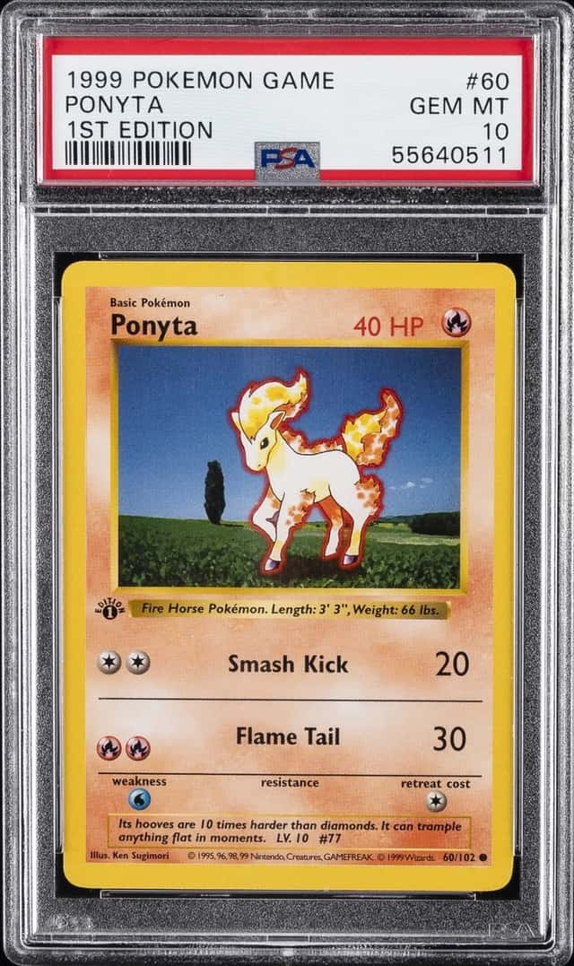 Ponyta