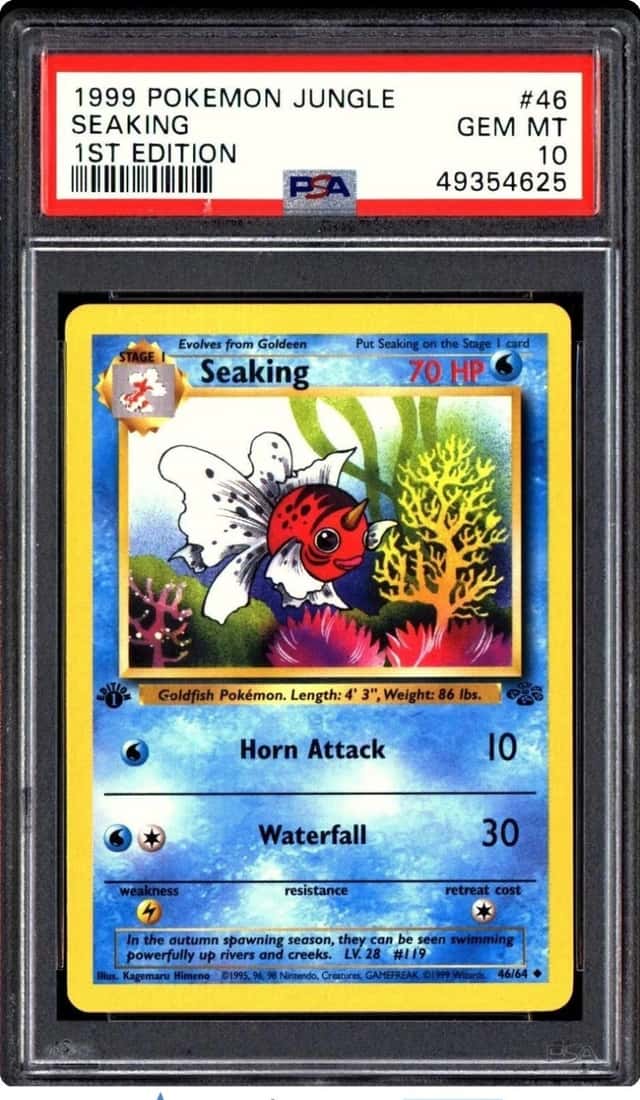 Seaking