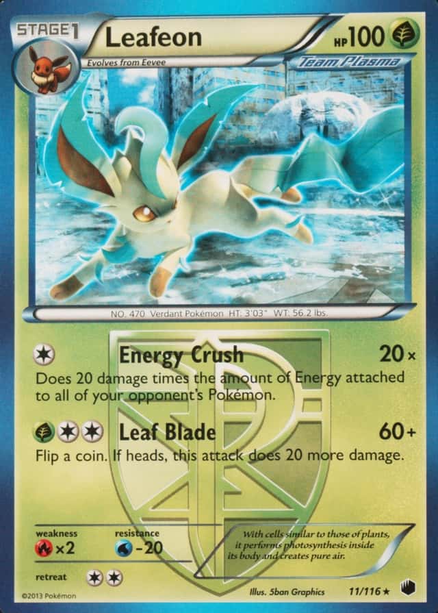 Holo · Championships P S T