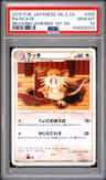 Raticate