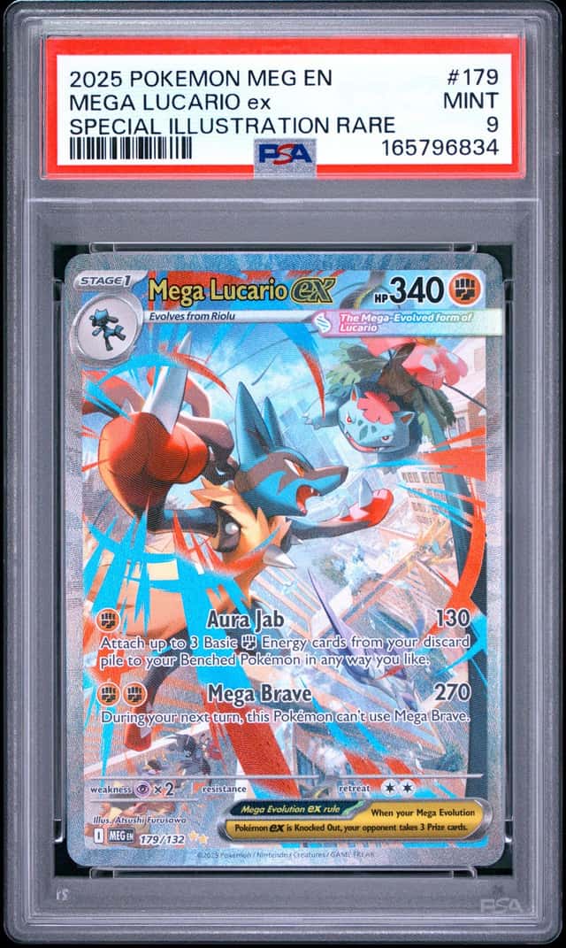 MEGA LUCARIO ex