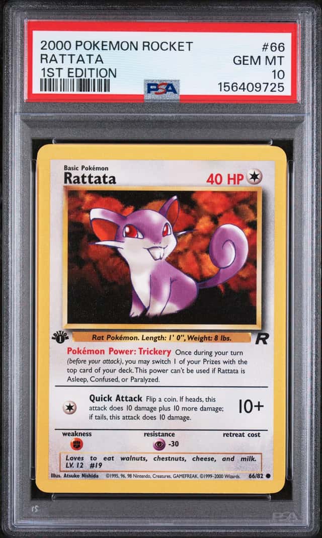 Rattata