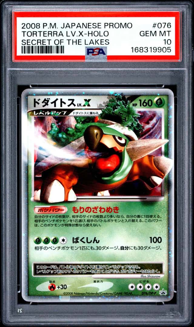 Torterra Lv X