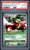 Torterra Lv X