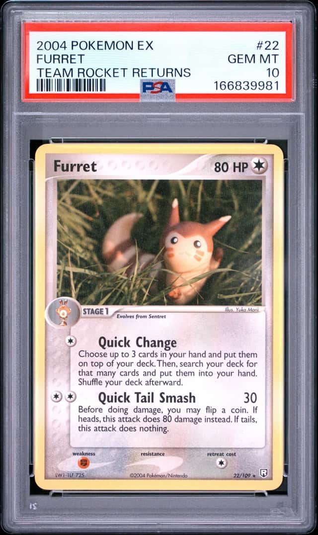 Furret