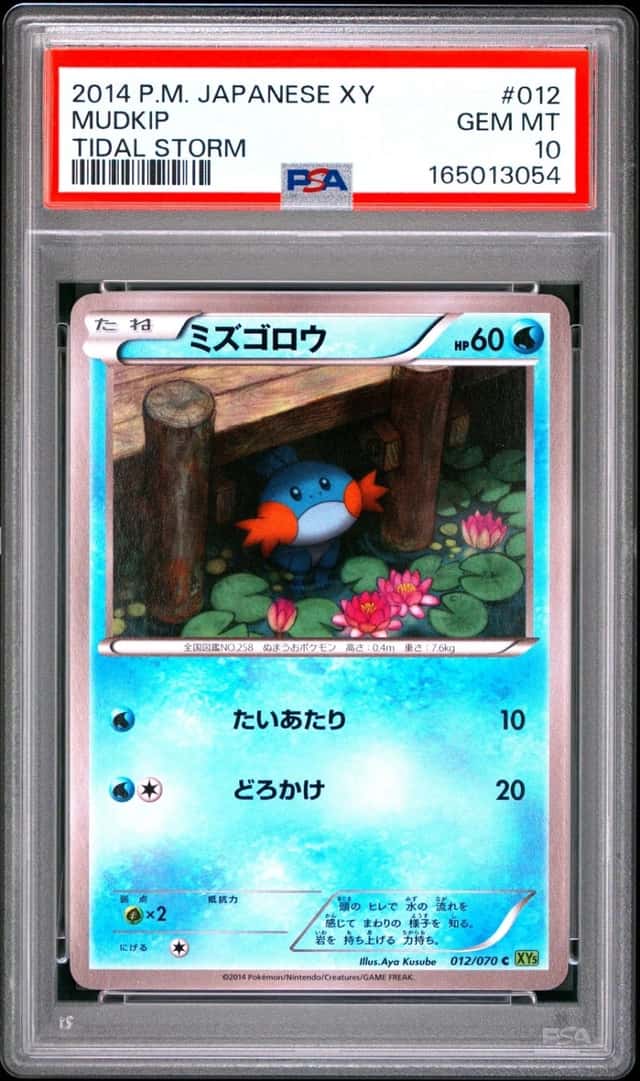 Mudkip