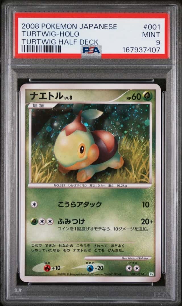 Turtwig