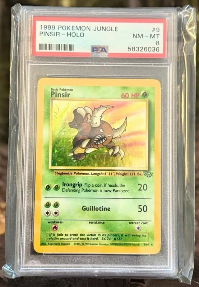 Pinsir