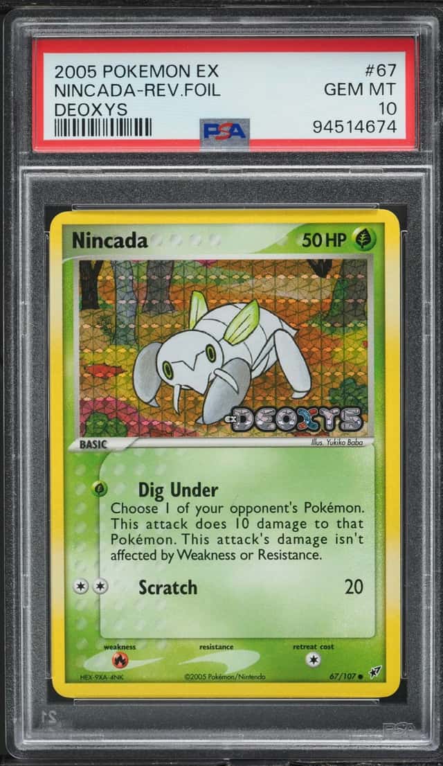 Nincada