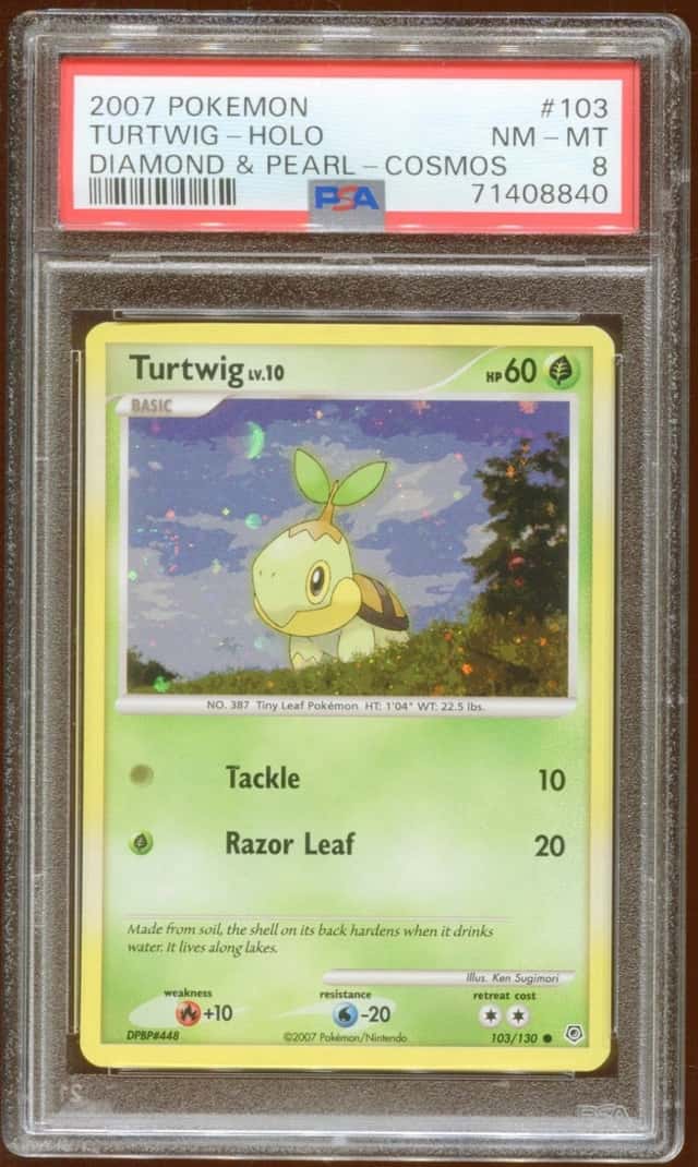 Turtwig