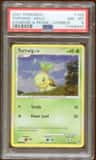 Turtwig