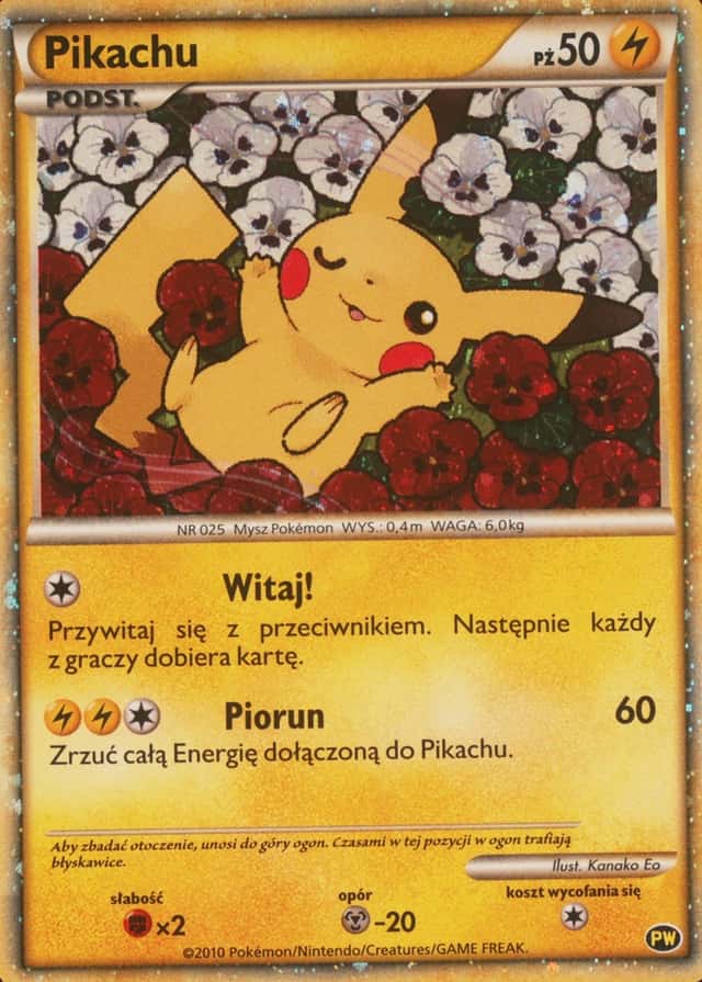 World Collection · Polish
