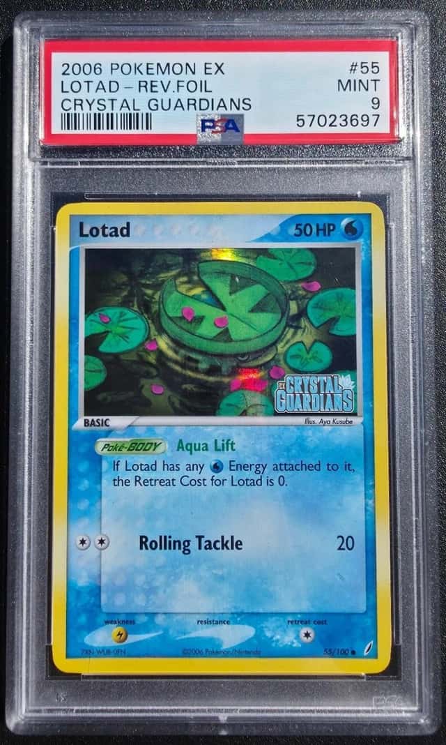 Lotad
