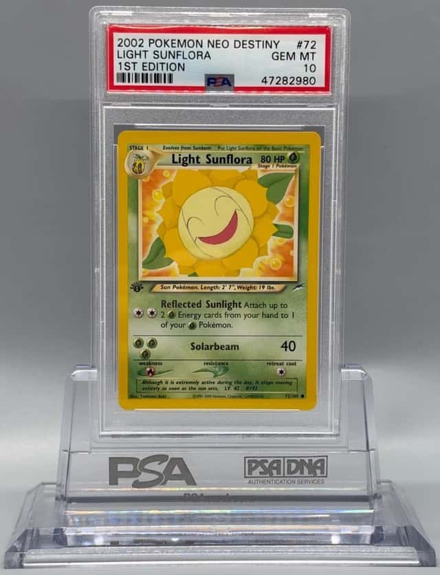 Light Sunflora