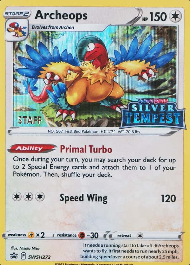 Prerelease · Staff
