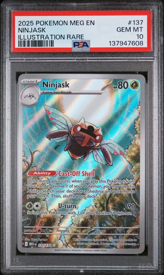 Ninjask