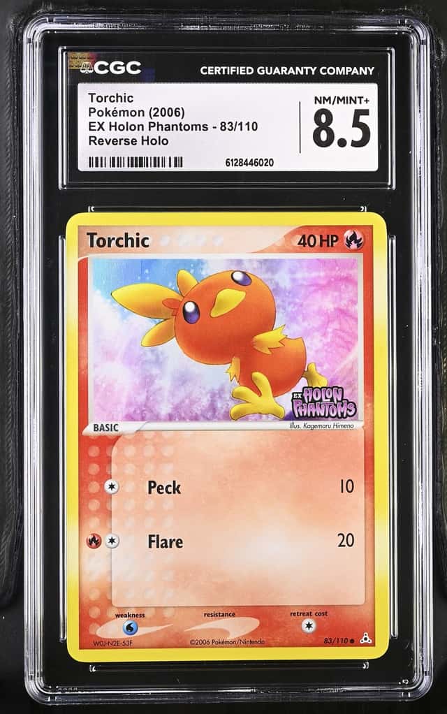 Torchic