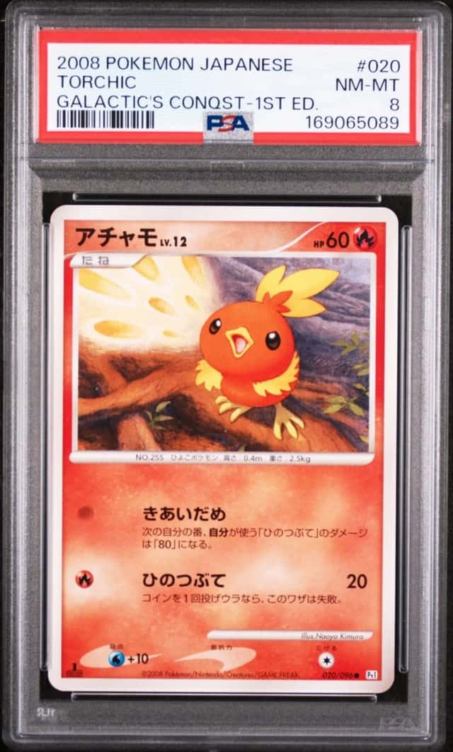 Torchic