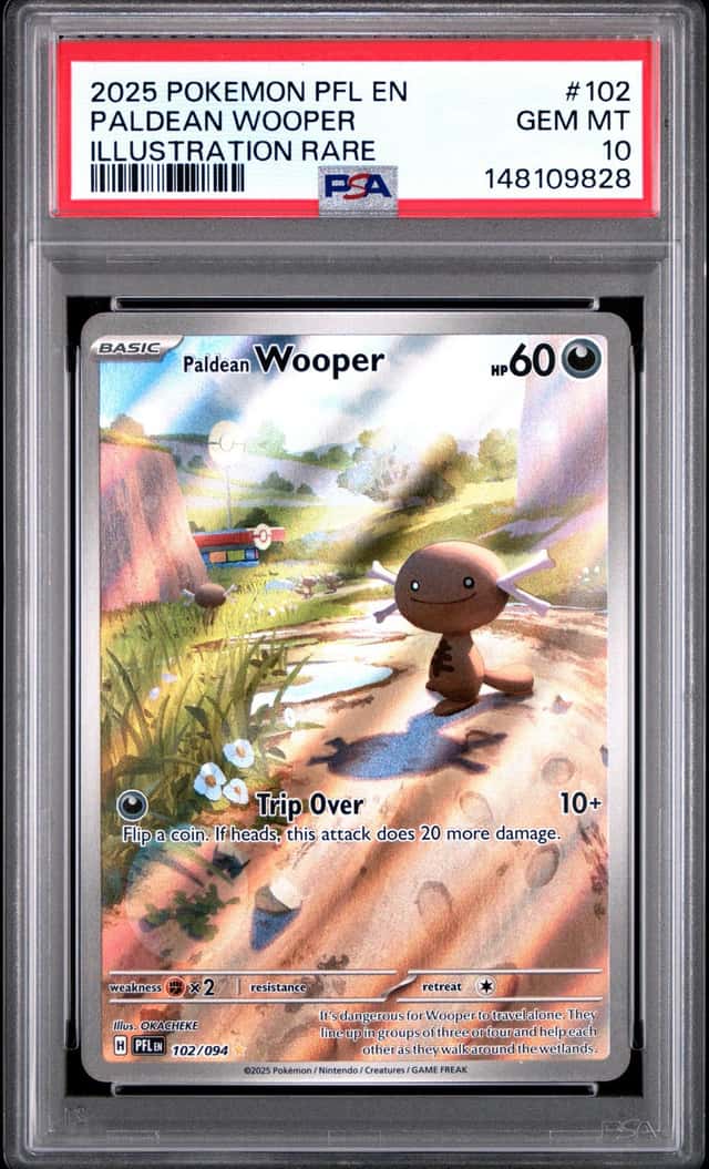 Paldean Wooper