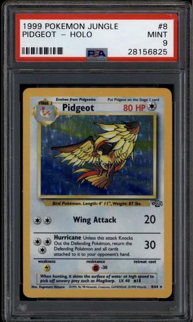 Pidgeot